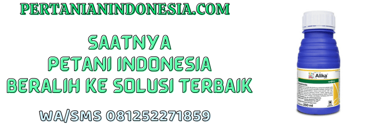 jual,murah,terjangkau,toko pertanian terdekat,pertanian indonesia